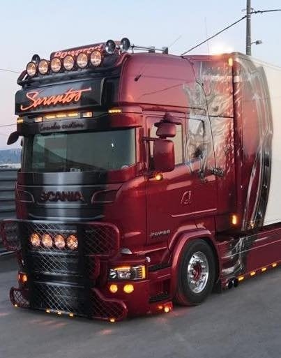 Coles Custom Frontrutebeskyttelse til Scania R/Streamline