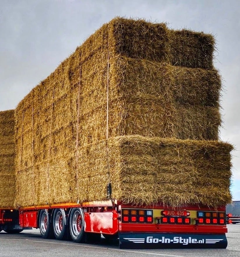 Splash pad Go-In-Style 248x35cm