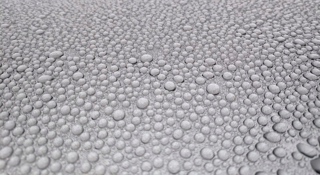 Bilvoks Soft99 New Fusso Coat 12 Months, 200g - Dark