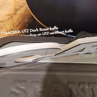 Opplyst SCANIA LED-Logo, 12/24v, RGB