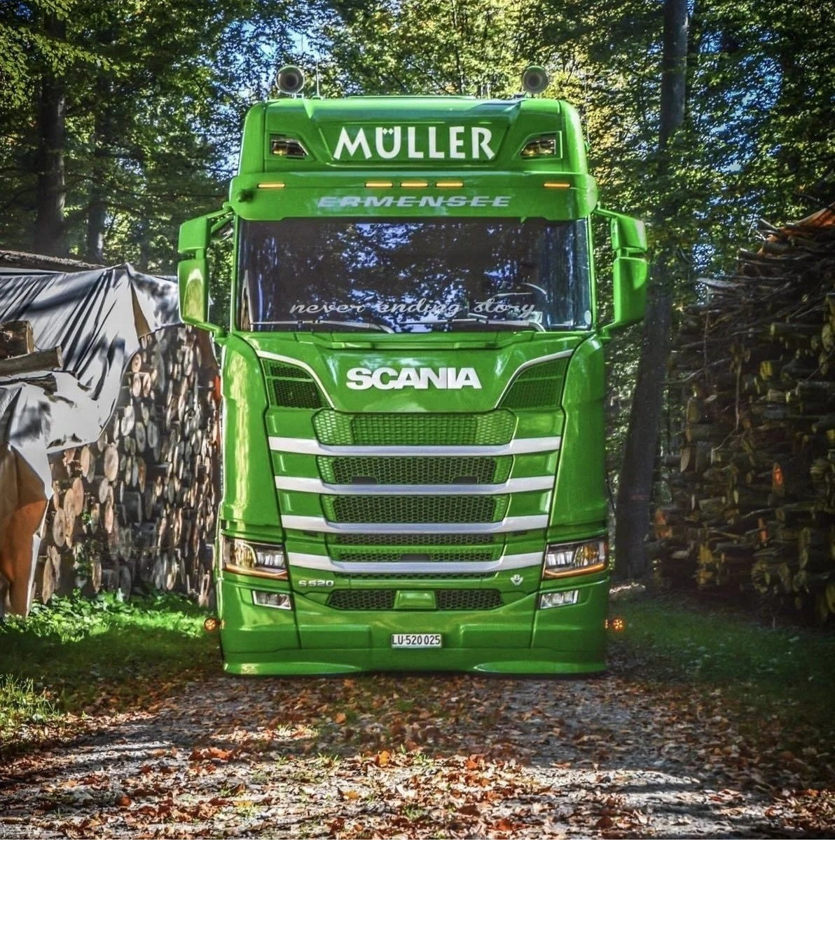 Solarguard Underfanger til Scania Nextgen, Type 1 - Lav Støtfanger