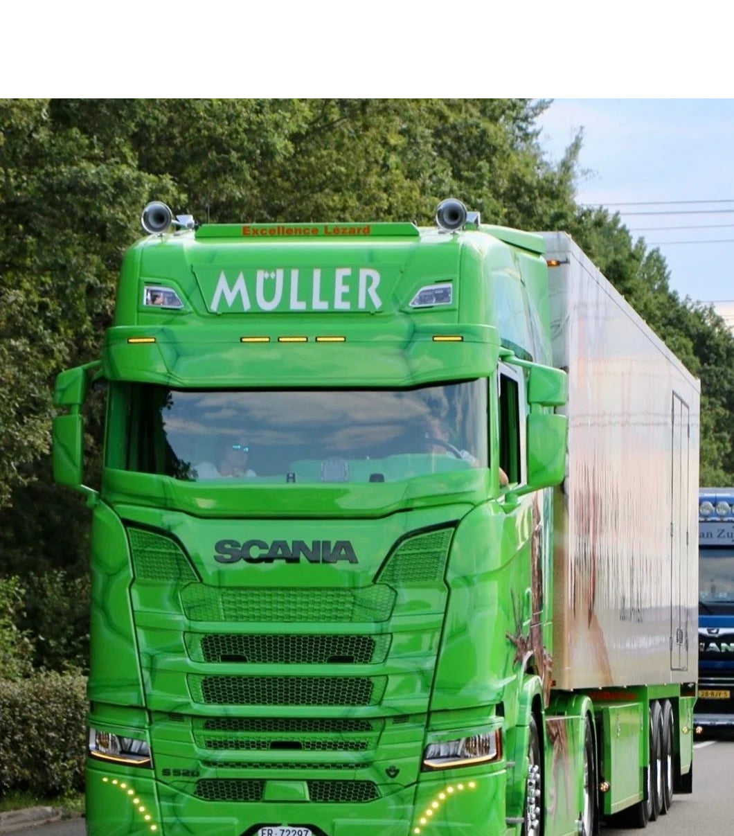 Coles Custom Frontrutebeskyttelse til Scania Nextgen