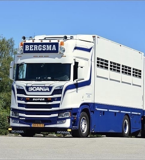 Hadley 868 - 37,5" Lufthorn