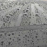 Bilvoks Soft99 New Fusso Coat 12 Months, 200g -  Dark