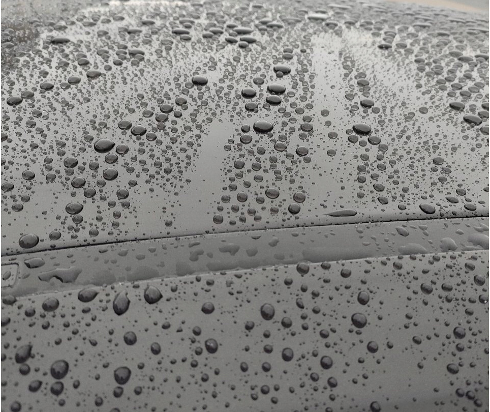 Bilvoks Soft99 New Fusso Coat 12 Months, 200g -  Dark