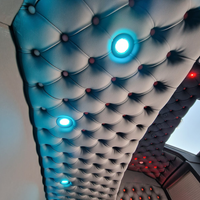 Back Cabinet Plate Made to Order - Button Padding, LED Diodes, Alcantara